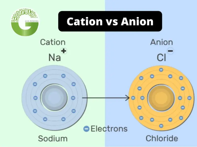 cation và anion cation và anion