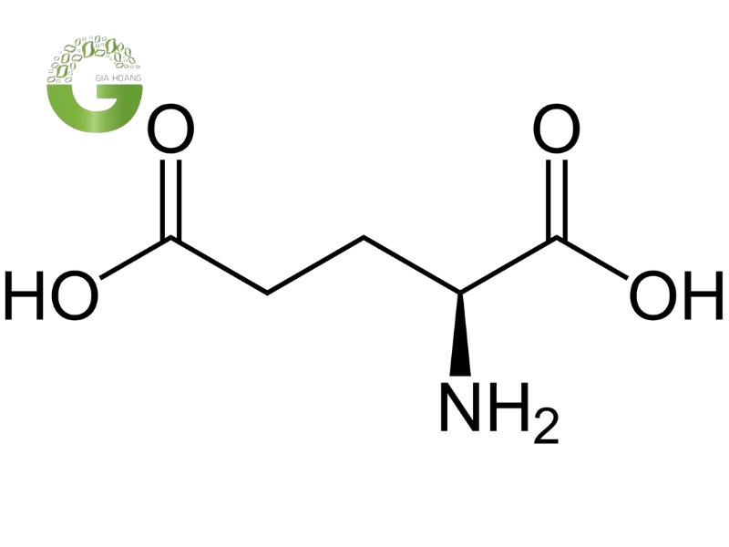 Công thức cấu tạo của axit glutamic