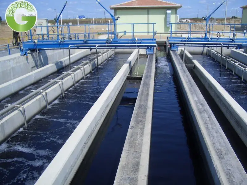 Xu hướng và triển vọng tương lai Xu hướng và triển vọng tương lai