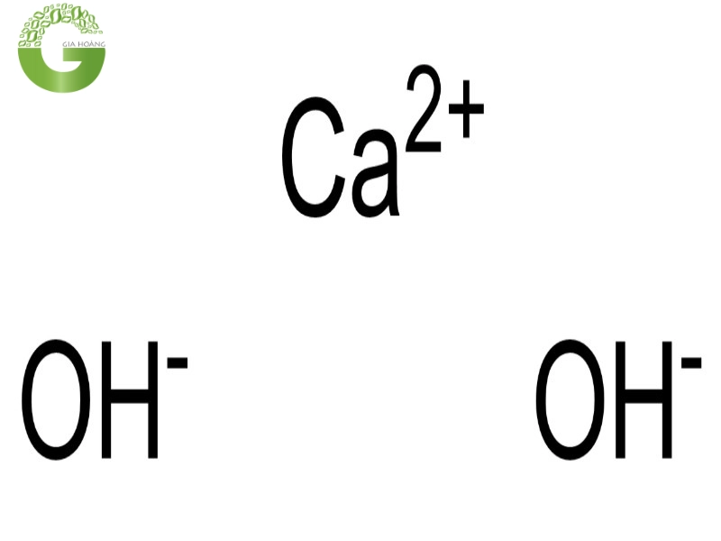 Ca(OH)₂ Trong Sản Xuất Canxi Stearate Công Nghiệp | Cơ Chế Phản Ứng Và Yêu Cầu Chất Lượng