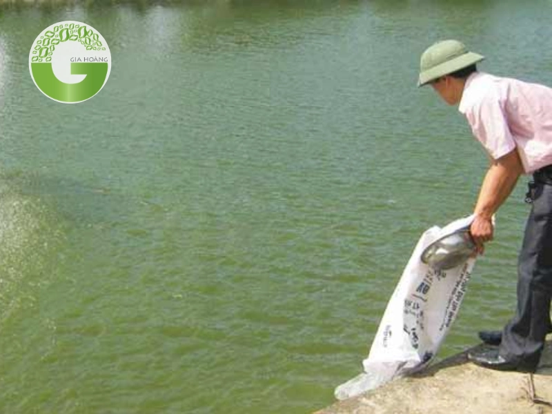 So sánh vôi Super Canxi với các loại vôi khác dùng trong thủy sản