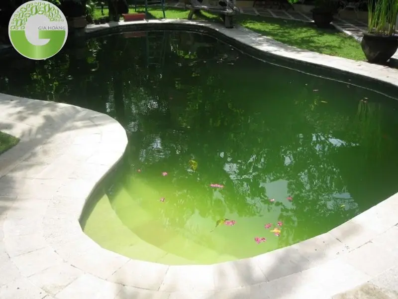 Lưu ý quan trọng và nhược điểm khi sử dụng