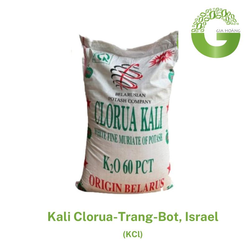 KCl - Kali Clorua-Trang-Bot, Israel, 50kg/bao.