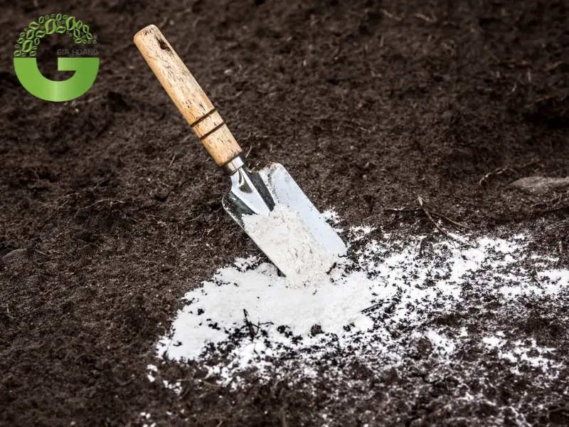 ứng dụng của caoh2 trong nông nghiệp ứng dụng của caoh2 trong nông nghiệp