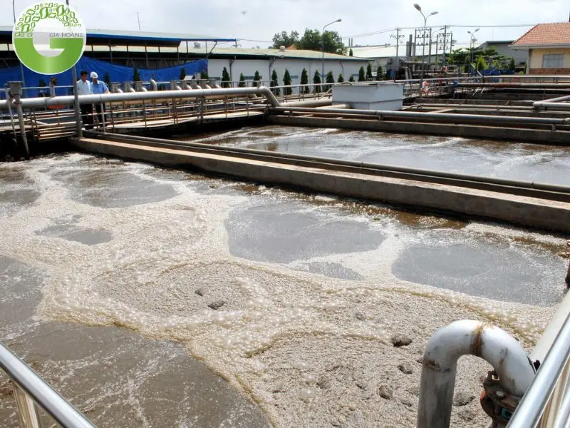 Các loại nước thải cần xử lý phổ biến Các loại nước thải cần xử lý phổ biến