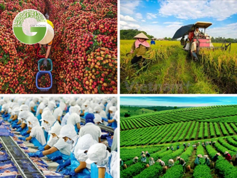 Ứng dụng của mật rỉ đường trong nông nghiệp