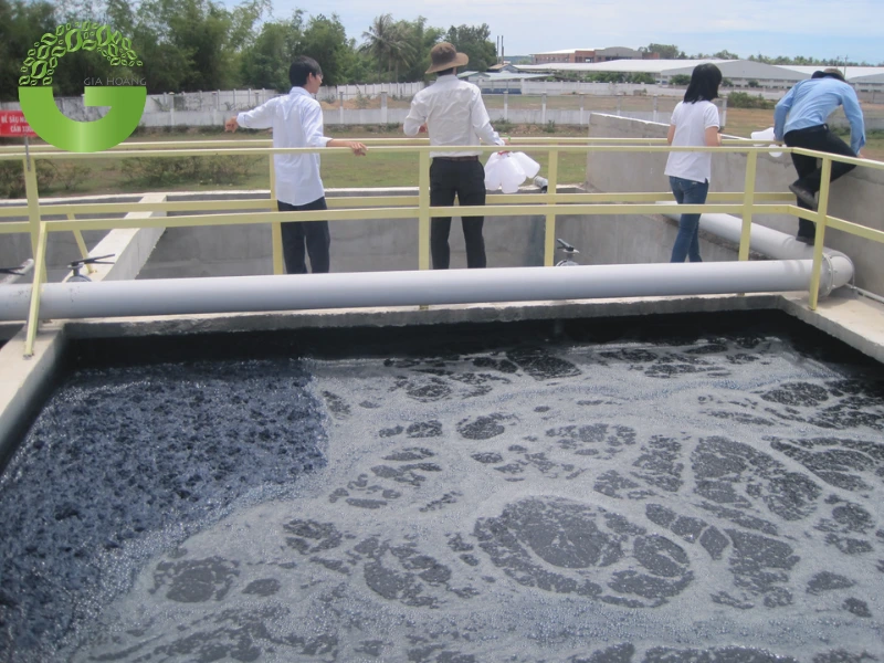 Tuyển nổi (Flotation)