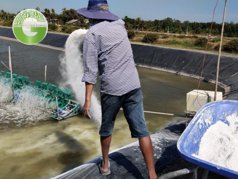 Tác dụng của dolomite trong nuôi trồng thủy sản