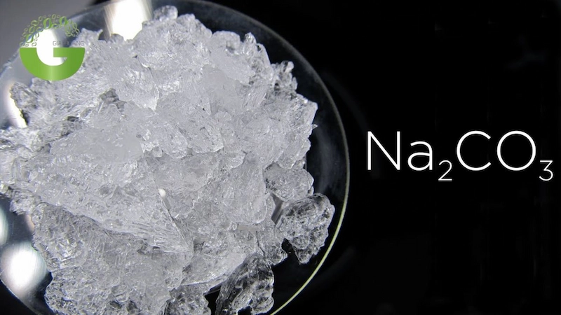 Phân Biệt Soda Ash Light và Soda Ash Dense: Đặc Tính & Ứng Dụng