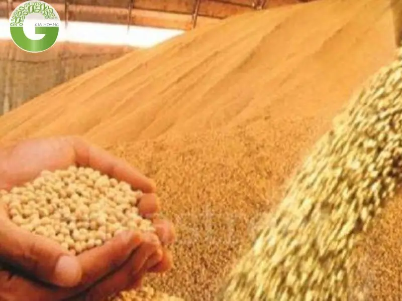 Các ứng dụng của vôi tôi trong thực phẩm Các ứng dụng của vôi tôi trong thực phẩm