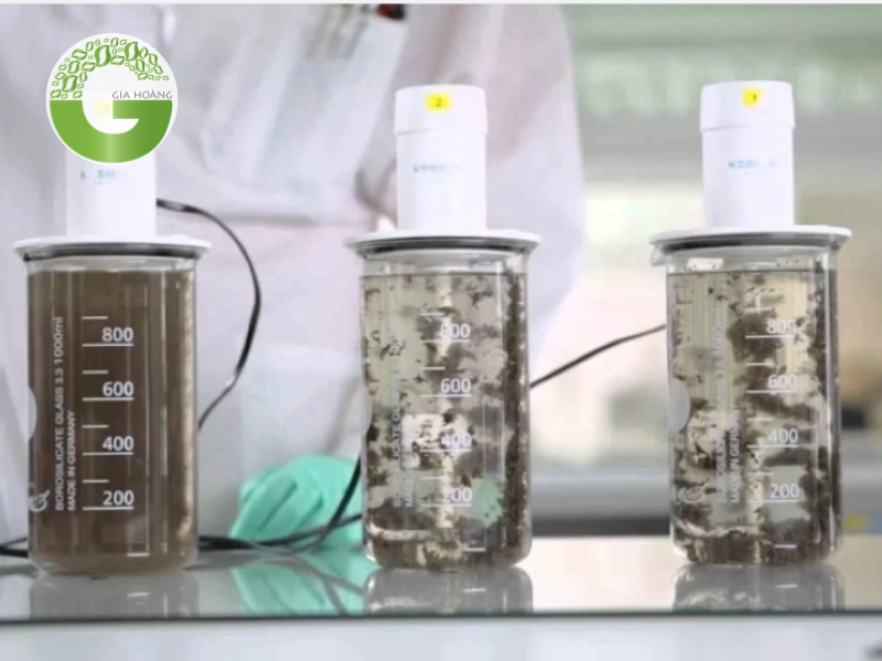 Cơ chế hoạt động của Polymer trong quá trình keo tụ và tạo bông