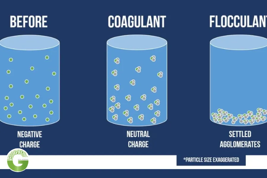 Keo Tụ Tạo Bông Là Gì? Hóa Chất Xử Lý Nước Tối Ưu Nhất