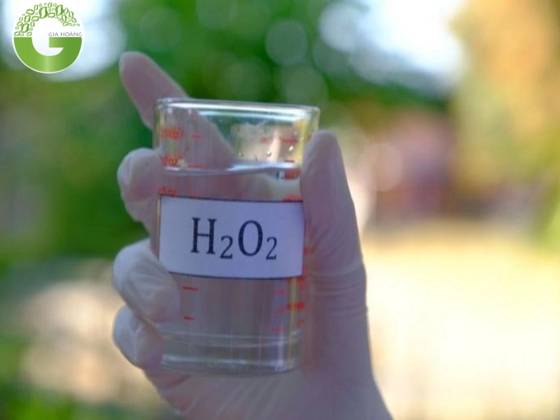 Hóa chất Gia Hoàng là địa điểm mua H2O2 uy tín