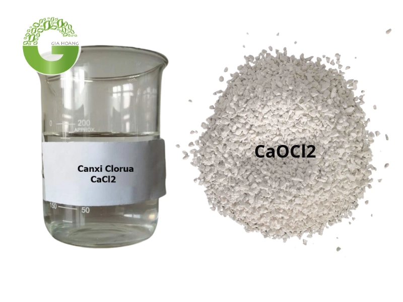 Từ Ca(OH)2 Đến CaCl2: Quy Trình & Lưu Ý Quan Trọng
