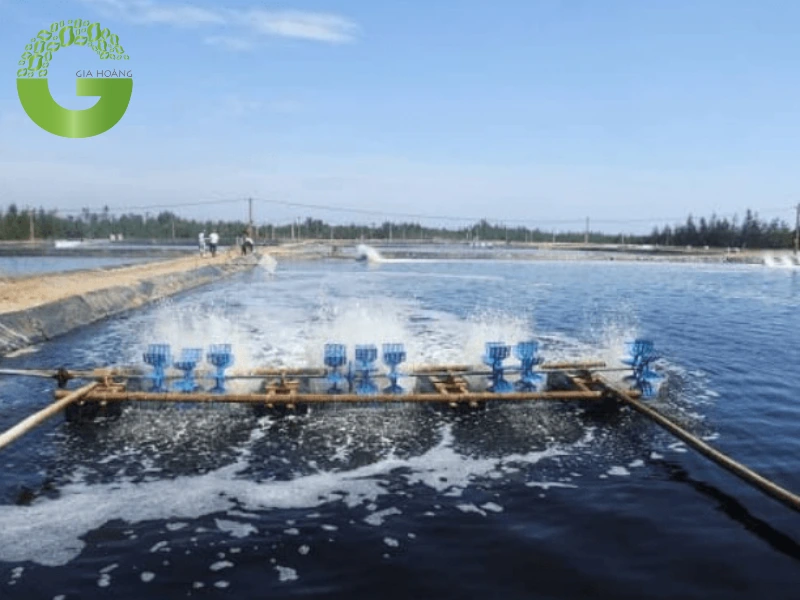 Hướng dẫn sử dụng Oxy già Thái Lan hiệu quả và an toàn