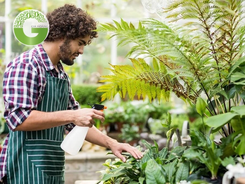 Phòng ngừa và điều trị nấm bệnh