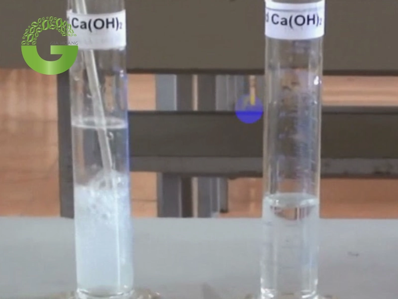 Hiện tượng CO2 làm đục nước vôi trong