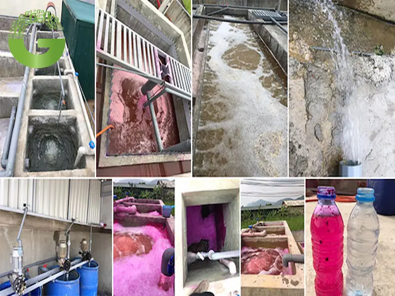 Ảnh hưởng đến kinh tế và xã hội