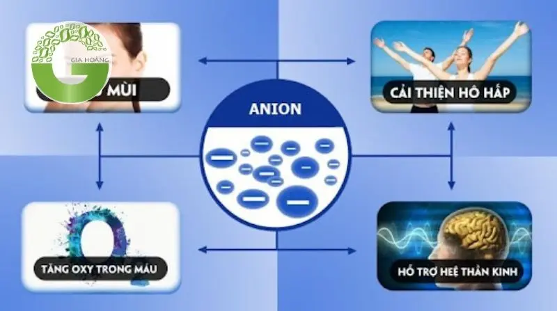 Ứng dụng của cation và anion trong sinh học và y học Ứng dụng của cation và anion trong sinh học và y học