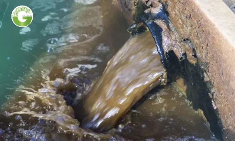 Có nhiều yếu tố ảnh hưởng tới hiệu quả của keo tụ tạo bông