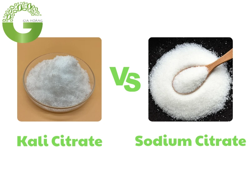 So sánh Kali Citrate với các Citrate khác (Sodium Citrate)
