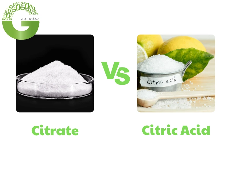 Sự Khác Biệt Giữa Citric Acid Và Citrate: Tính Chất Và Ứng Dụng