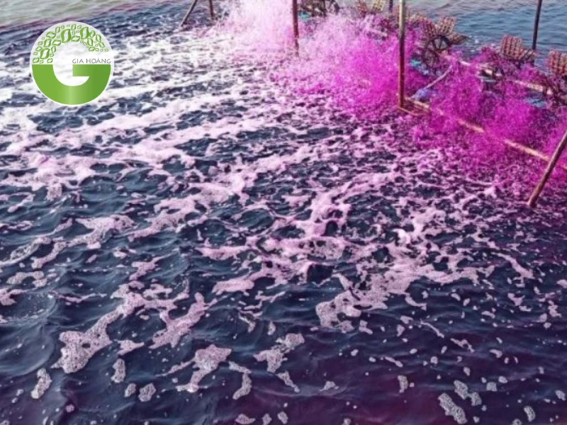 Ứng dụng phổ biến của thuốc tím Trung Quốc tại Việt Nam