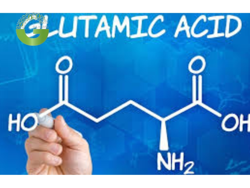 Axit glutamic là gì