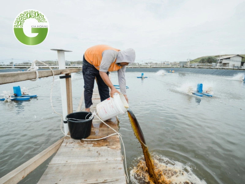 Tác dụng của mật rỉ đường trong chăn nuôi đối với thủy sản