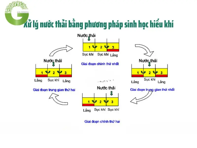 Xử lý sinh học nước thải dệt nhuộm