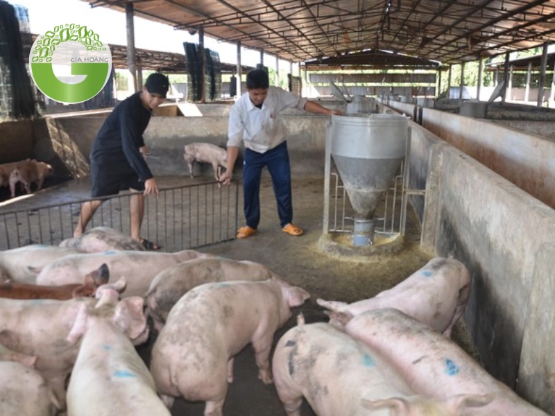 Lựa chọn giải pháp phù hợp và lợi ích kinh tế