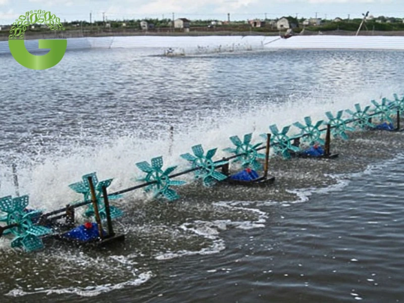 Ưu nhược điểm và những điều cần cân nhắc
