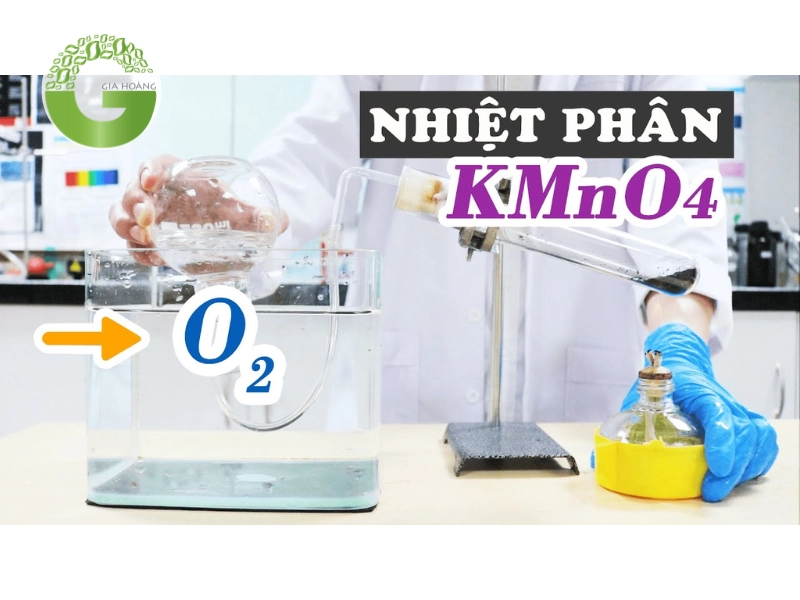 Trong phòng thí nghiệm