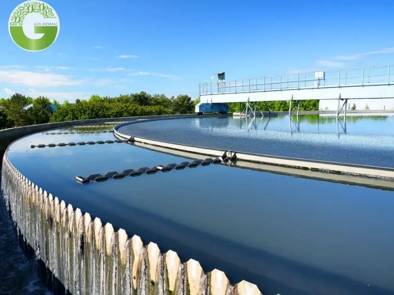 Tác hại của nước thải chưa xử lý đối với môi trường và sức khỏe
