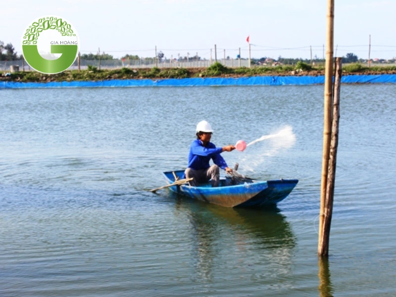 Liều lượng sử dụng vôi Super Canxi cho từng loại thủy sản và giai đoạn nuôi