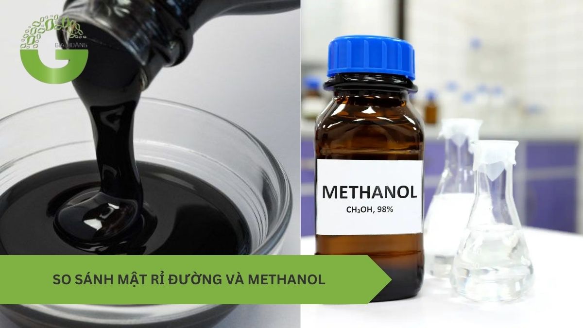 So sánh mật rỉ đường và methanol trong xử lý nước thải