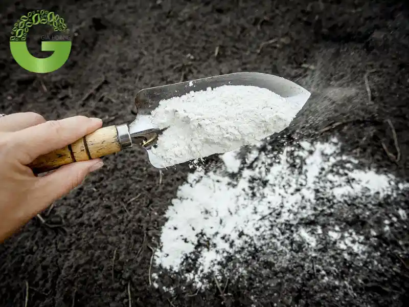 Sử dụng Ca(OH)₂ để điều chỉnh độ pH của đất đúng liều lượng Sử dụng Ca(OH)₂ để điều chỉnh độ pH của đất đúng liều lượng