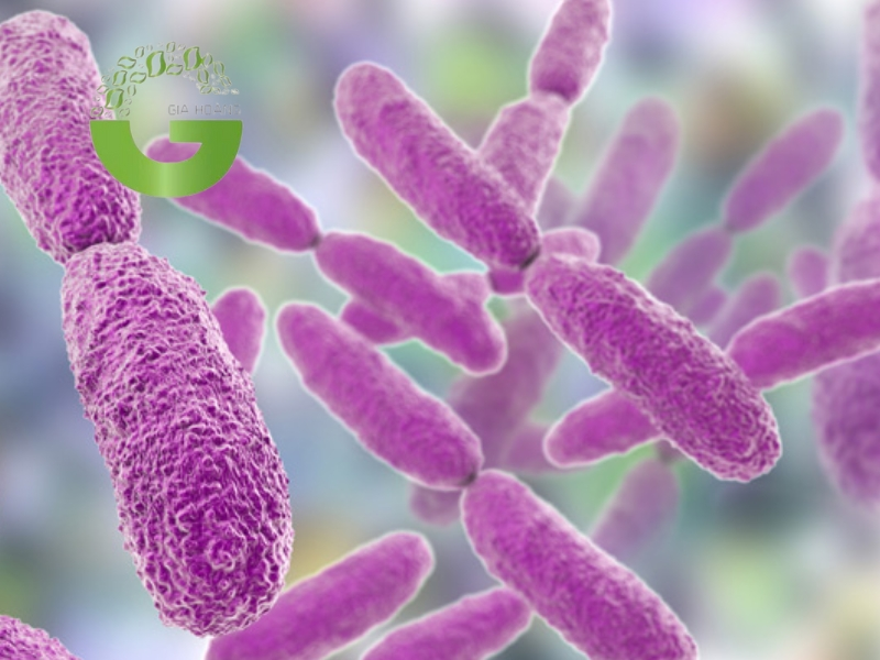 Coliform trong nước thải là gì? Tác hại và cách xử lý