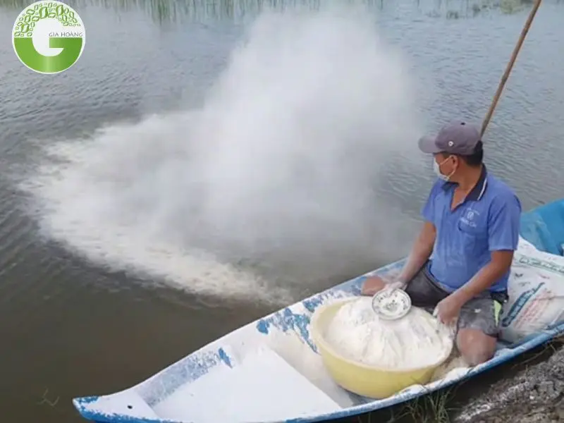  Hướng dẫn sử dụng vôi tôi hiệu quả trong nuôi trồng thủy sản