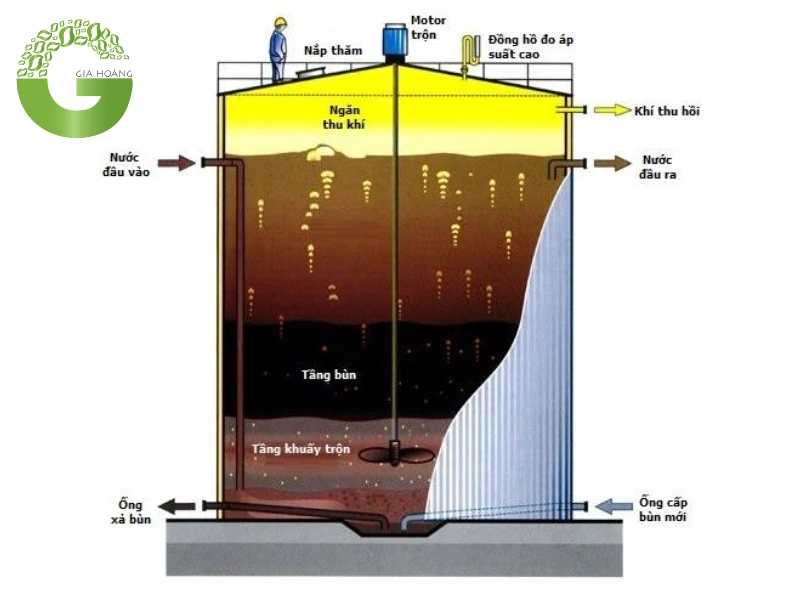 Nguyên lý và cơ chế sinh học của quá trình kị khí