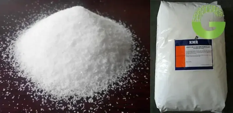 Polymer là giải pháp xử lý nước hồ bơi bị đục cao cấp nhất