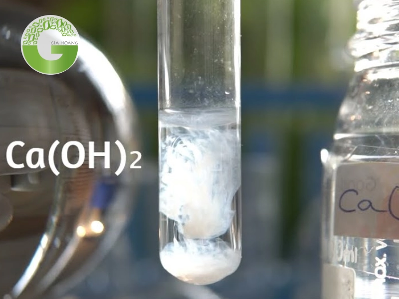 Ca(OH)2 kết tủa màu gì