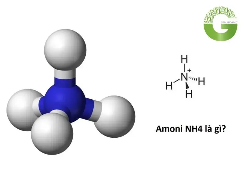 nh4 là cation hay anion