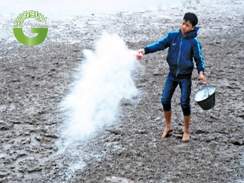 Rắc vôi bột ở đáy ao có tác dụng gì