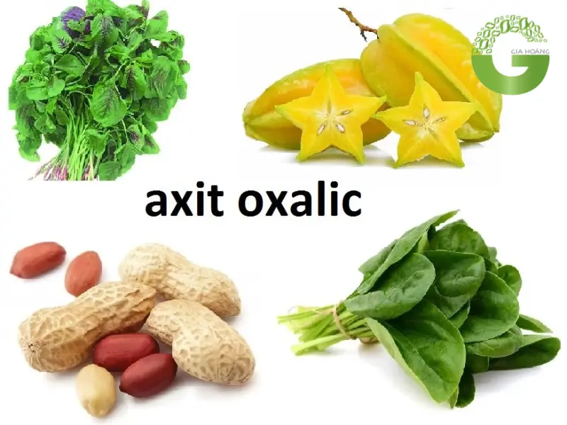 Axit Oxalic có trong thực phẩm nào