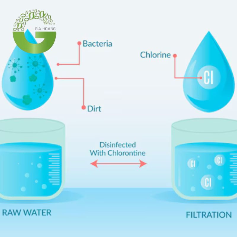 Cơ chế khử trùng nước cấp bằng clo