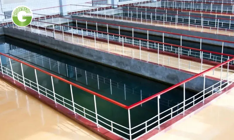 Có nhiều yếu tố ảnh hưởng tới kết quả của quá trình keo tụ cuối cùng