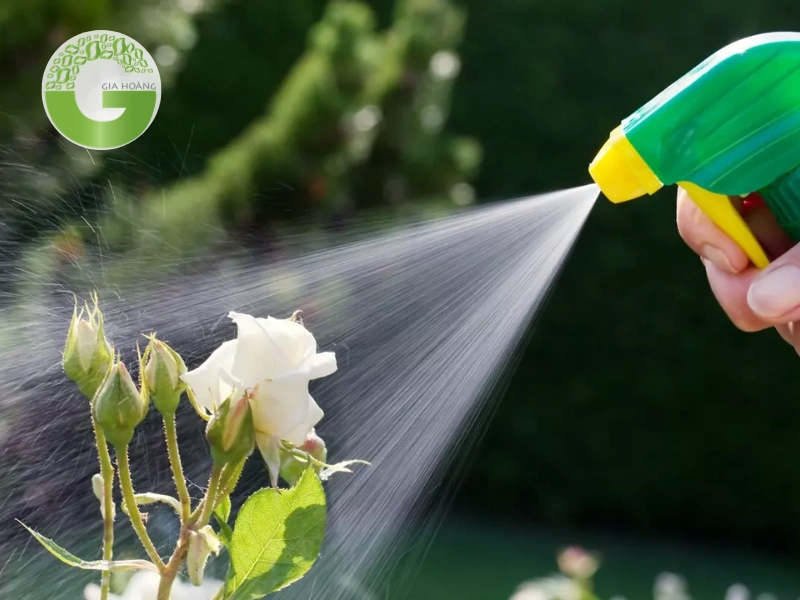 Oxy già (H2O2) - Đặc tính hóa học và cơ chế tác động với cây trồng