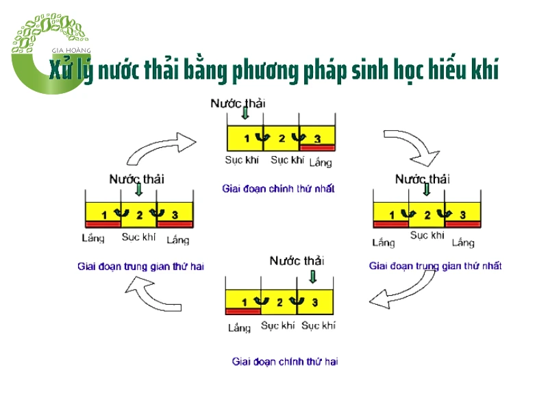 Nguyên lý và cơ chế sinh học của quá trình hiếu khí