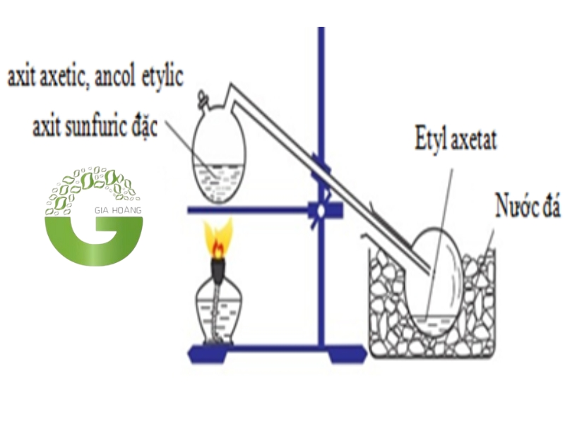 Phản ứng este hóa ở axit axetic